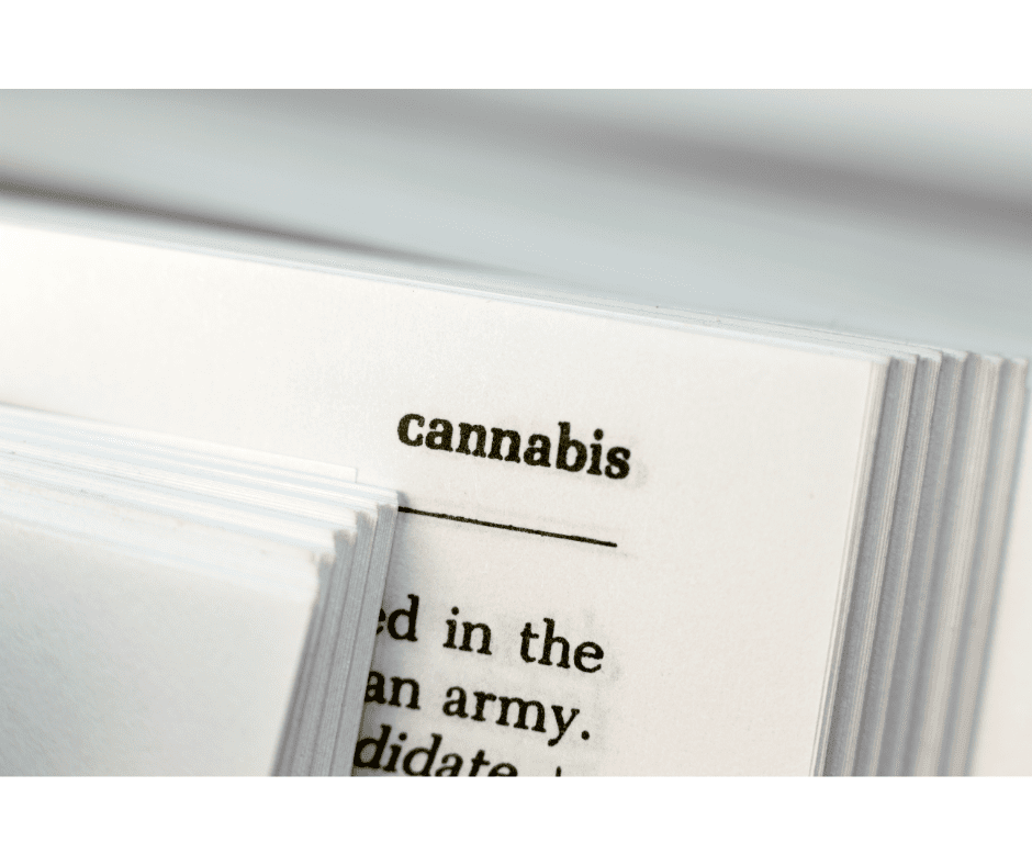 Siete tácticas probadas de SEO de cannabis para la comercialización de marihuana.