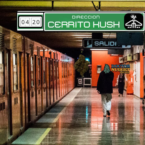 Cerrito Kush Exterior Regular