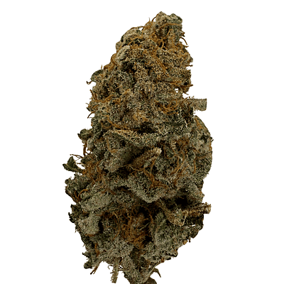 Invaders x Ghost Kong Indoor Hidropónica Premium