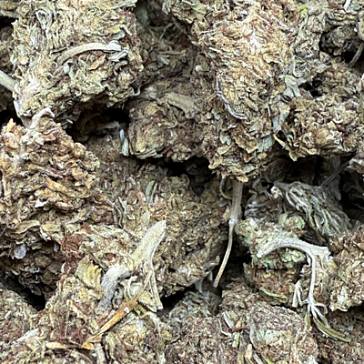 Cerrito Kush Exterior Regular