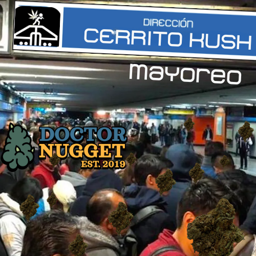 Mayoreo Cerrito Kush exterior regular
