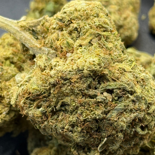 Kali Kush Haze Greenhouse 