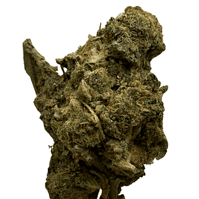 Apricot Gelato Greenhouse Exotic