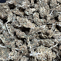 Amnesia Haze Exterior Amnesia Haze Exterior