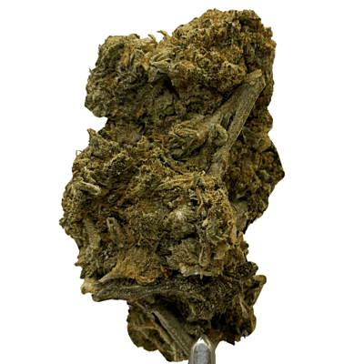 Apricot Gelato Greenhouse Exotic