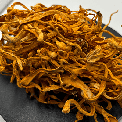 Hongo Cordyceps Militaris seco