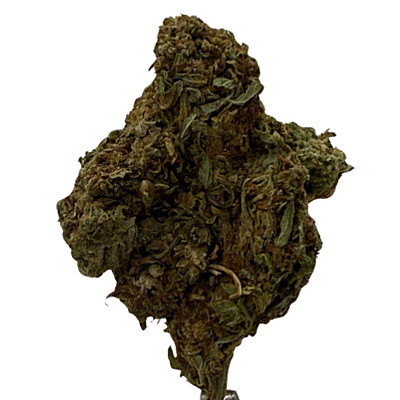 Cerrito Kush Exterior Regular