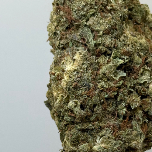 Kali Kush Haze Greenhouse 