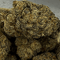 Berry Pie Indoor Básica Berry Pie Indoor Básica