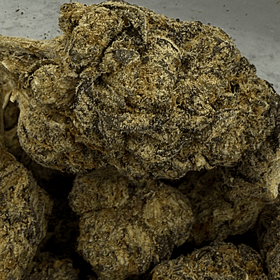 Berry Pie Indoor Básica