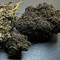 Purple Kush Greenhouse Purple Kush Greenhouse