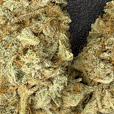 Invaders x Ghost Kong Indoor Hidropónica Premium