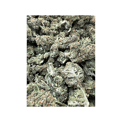 Blue Dream Greenhouse Exotic Living Soil