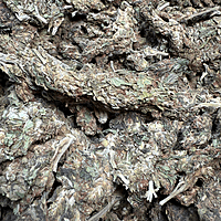 Amnesia Haze Exterior Amnesia Haze Exterior