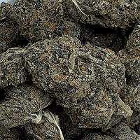 Berry Pie Indoor Básica Berry Pie Indoor Básica