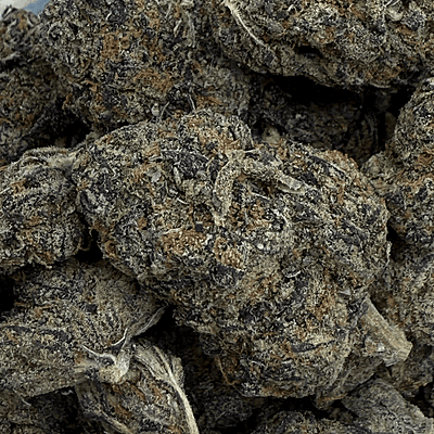 Berry Pie Indoor Básica