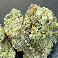 Chem Funk Indoor Hidropónica Chem Funk Indoor Hidropónica