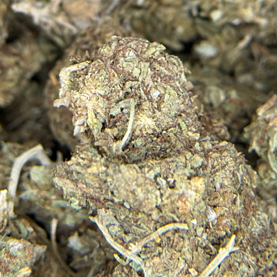 Cerrito Kush Exterior Regular