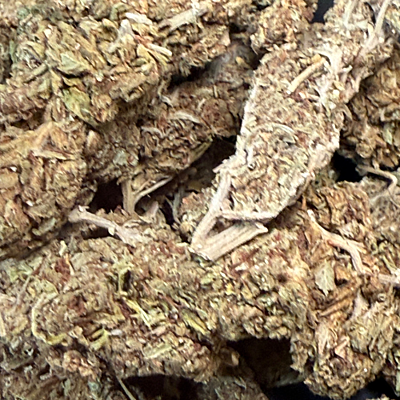 Mayoreo Cerrito Kush exterior regular