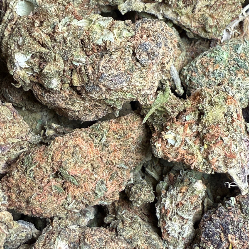 Kali Kush Haze Greenhouse 