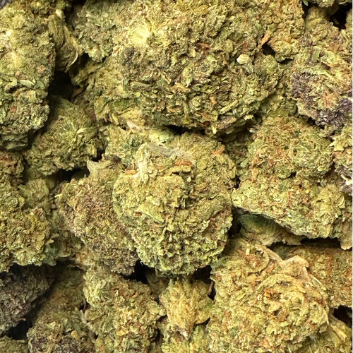 Orange Zkittlez Greenhouse Exotic