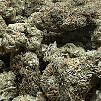 Cali Shine Greenhouse Exotic Cali Shine Greenhouse Exotic