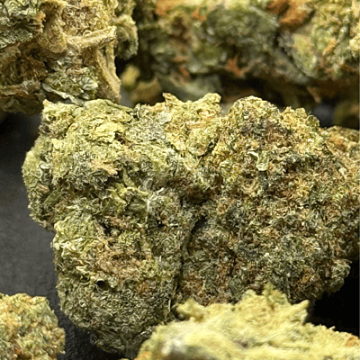 Apricot Gelato Greenhouse Exotic