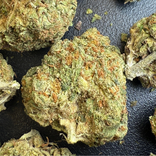 Orange Zkittlez Greenhouse Exotic