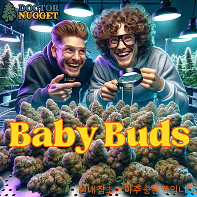 Baby Buds Indoor Premium