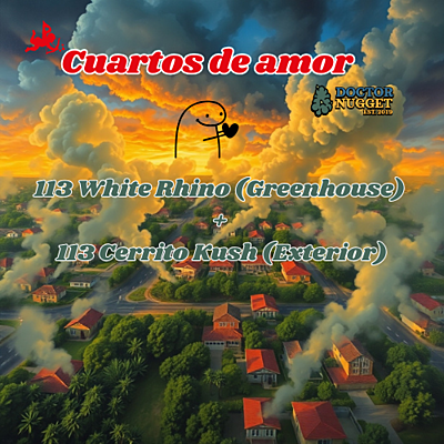 Cuartos de amor