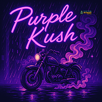 Dr. Nugget Dr. Nugget Purple Kush THC Dr. Nugget Dr. Nugget Purple Kush THC