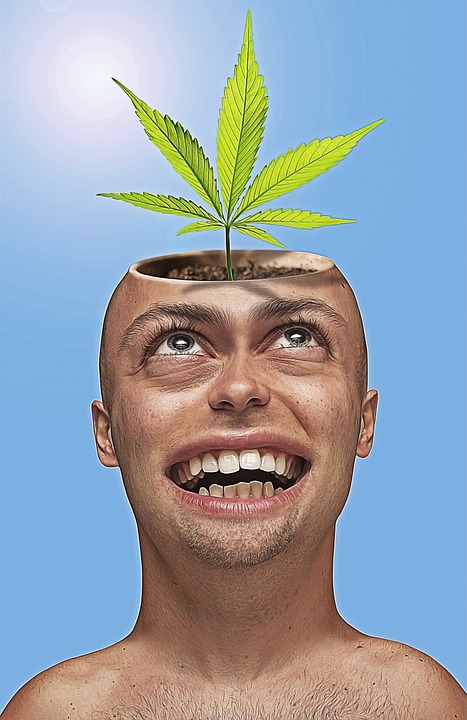 La marihuana y la ansiedad: Una mirada a los beneficios medicinales de la hierba