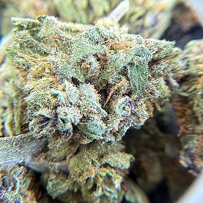 Dos Si Dos Greenhouse Select Dos Si Dos Greenhouse Select