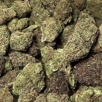 Strawpico Greenhouse Exotic Living Soil