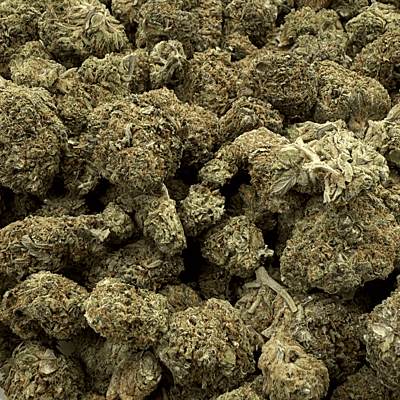 Sour Zkittlez Greenhouse Select