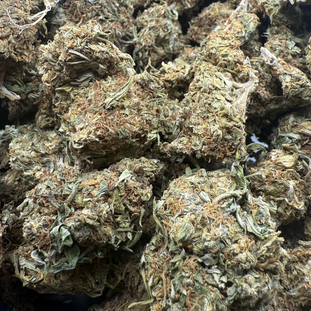 Fluffy Puffy Exterior Regular