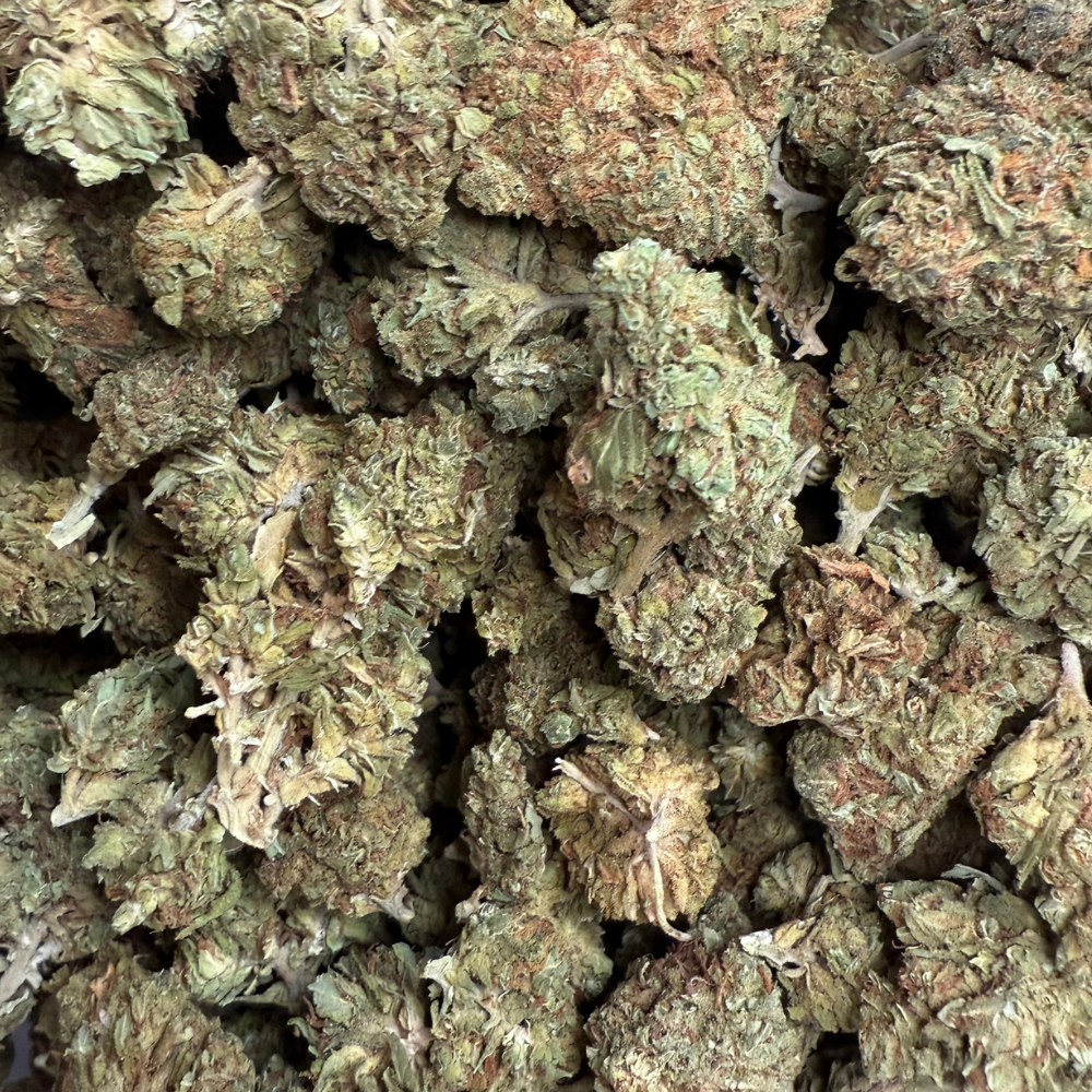 Maui Wowie Greenhouse Standard