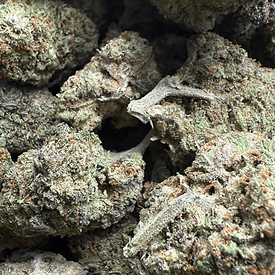 Strawpico Greenhouse Exotic Living Soil