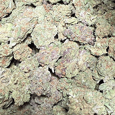 Dos Si Dos Greenhouse Select Dos Si Dos Greenhouse Select