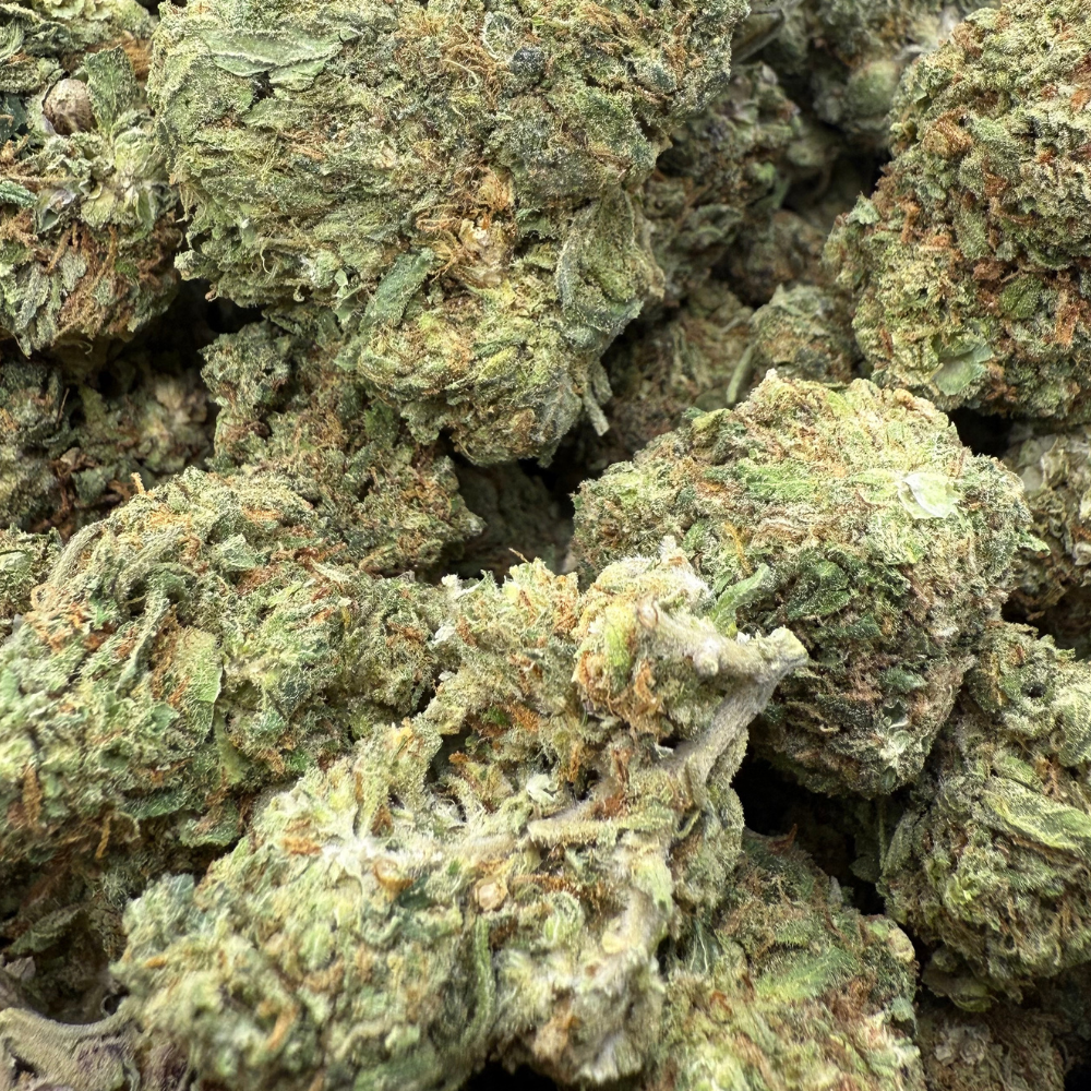 Confetti Greenhouse Standard