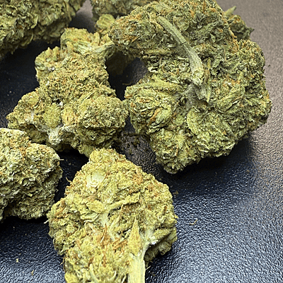 Velvet Gucci indoor Velvet Gucci indoor