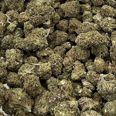 Sour Zkittlez Greenhouse Select