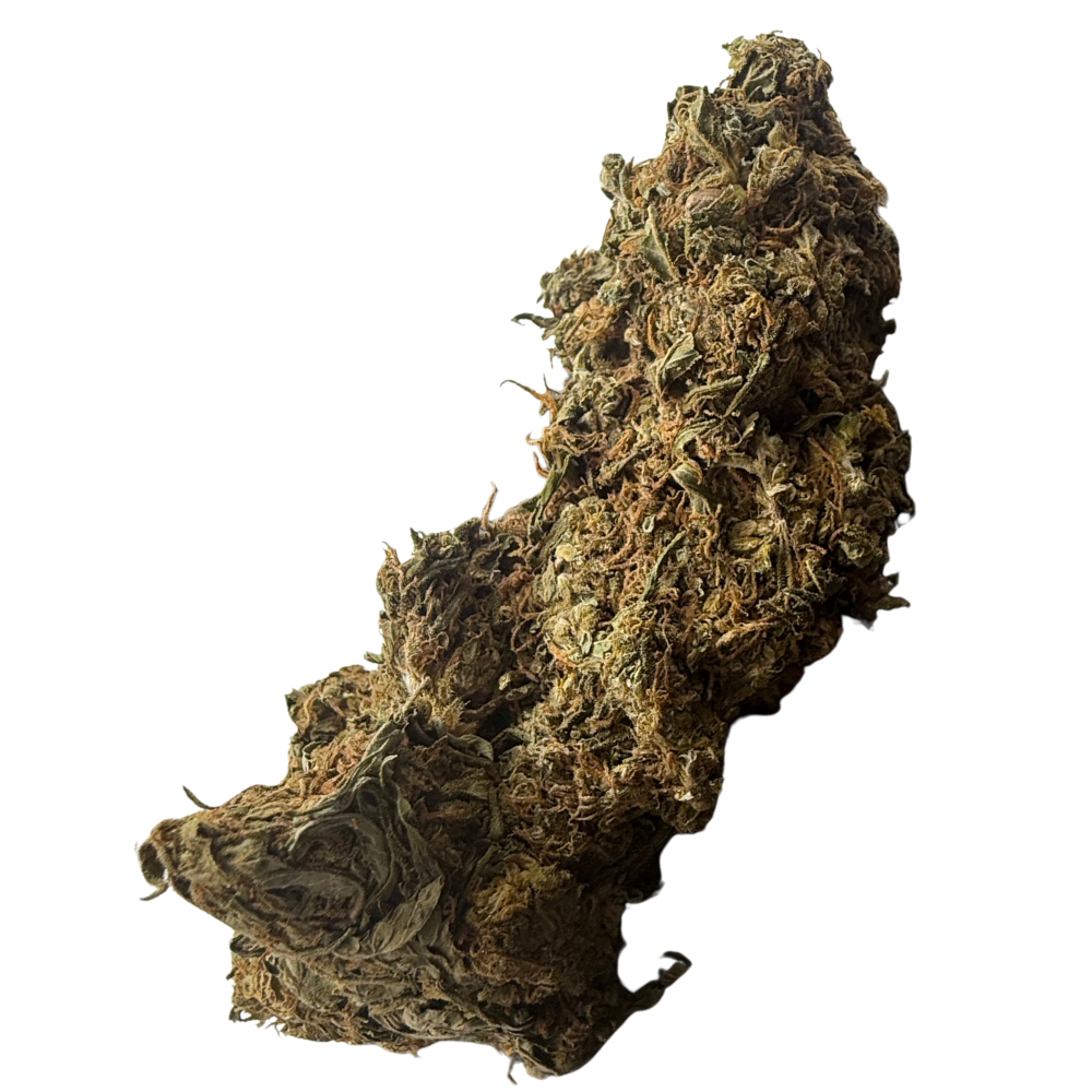 Fluffy Puffy Exterior Regular