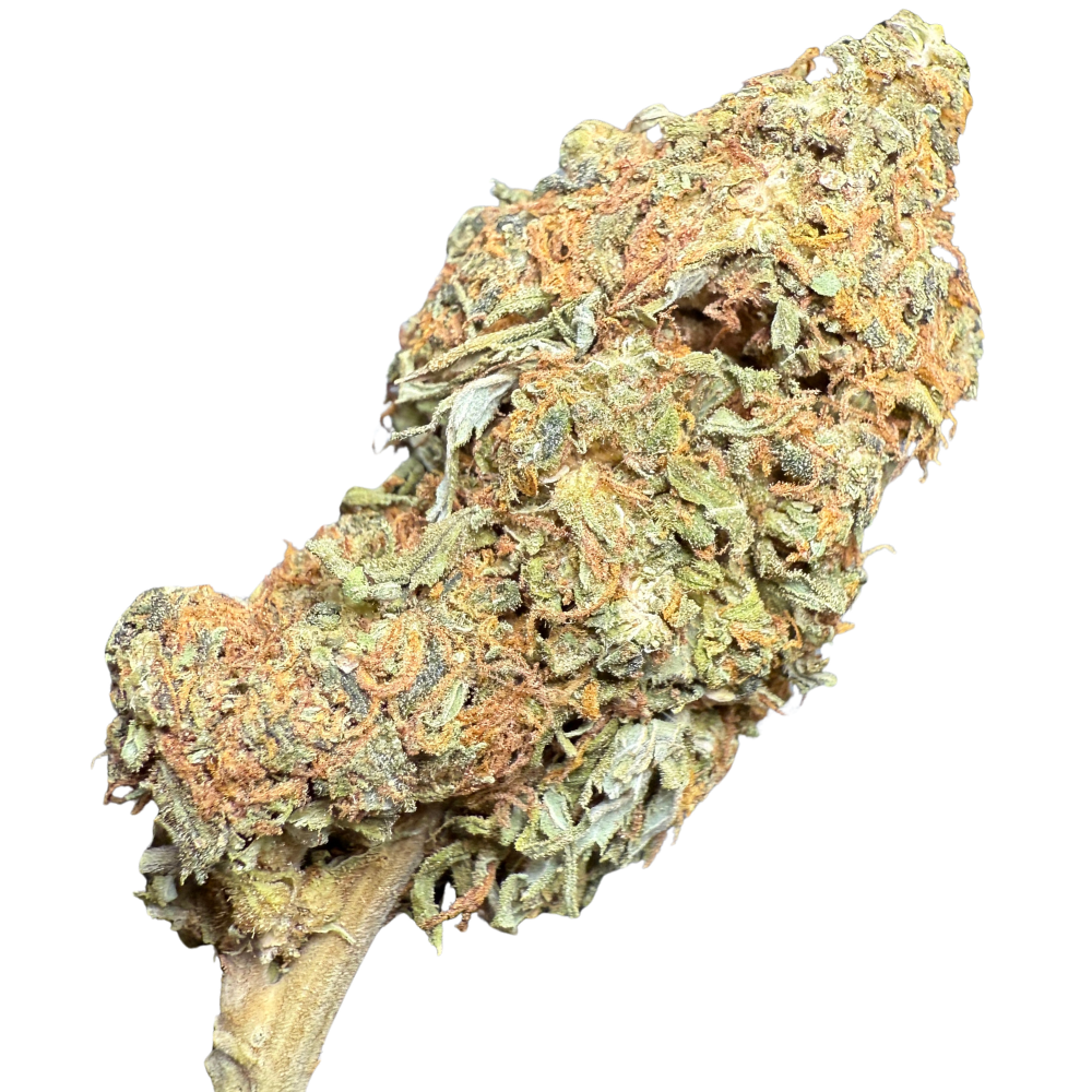 Maui Wowie Greenhouse Standard