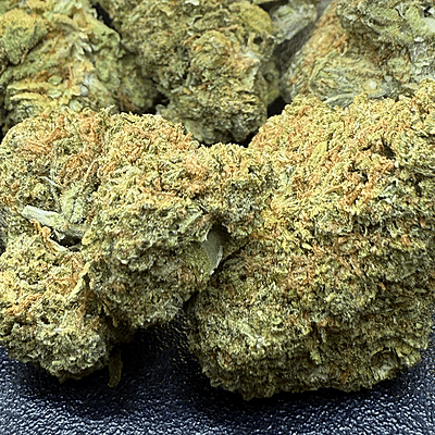 Velvet Gucci indoor Velvet Gucci indoor