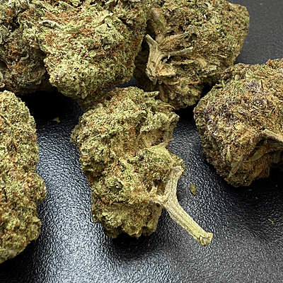 Strawpico Greenhouse Exotic Living Soil