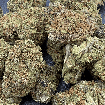 Sour Zkittlez Greenhouse Select