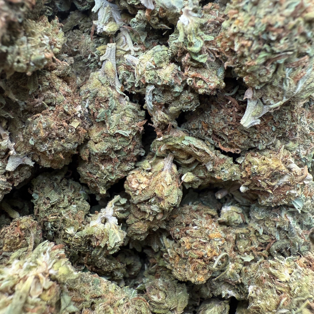 Maui Wowie Greenhouse Standard