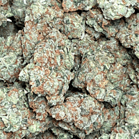 Chem Funk Indoor Hidropónica