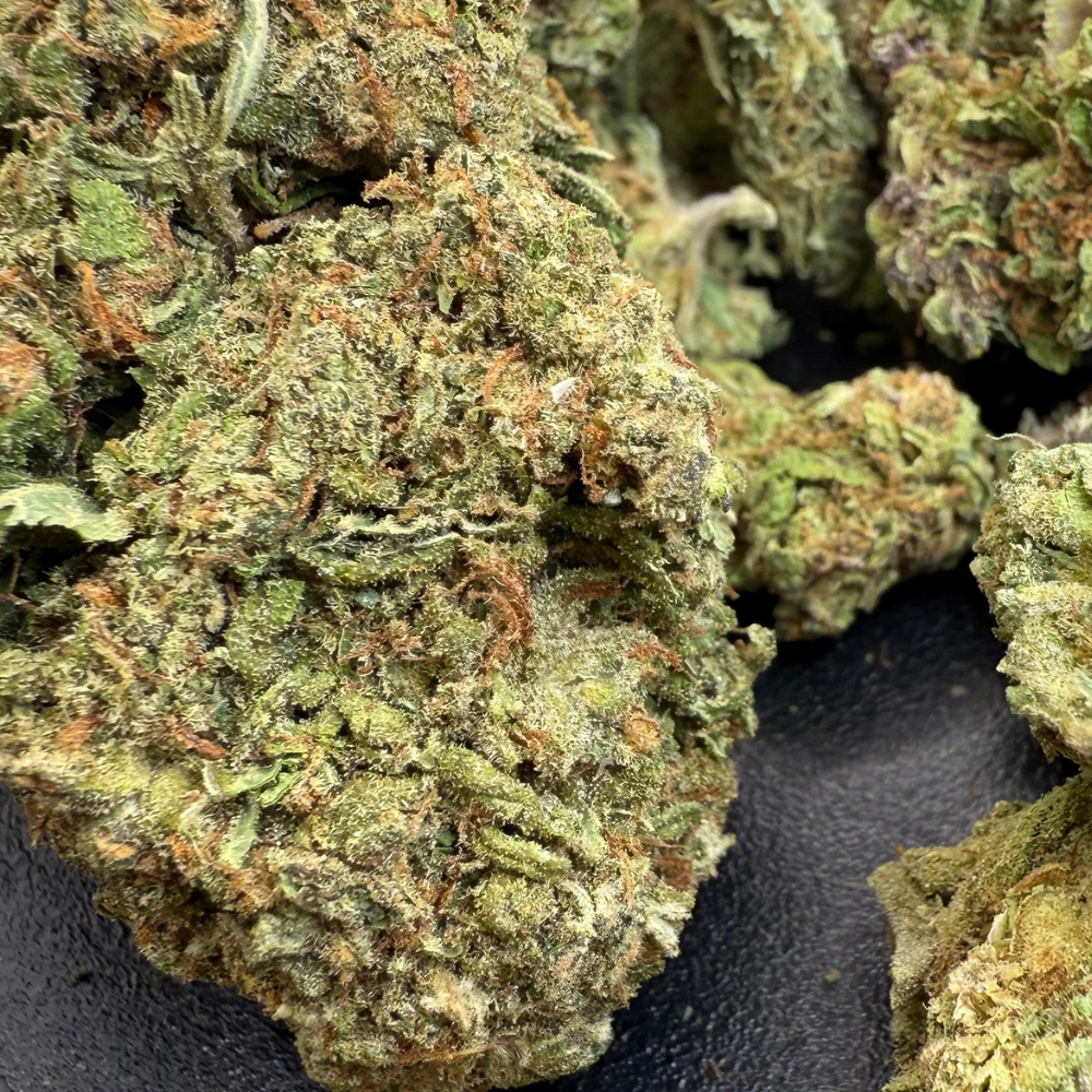 Confetti Greenhouse Standard